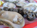 Oysters on the Half Shell, Raw Bar Up the Creek, Apalachicola, FL