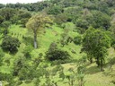 Lush countryside in Boquete, Panama