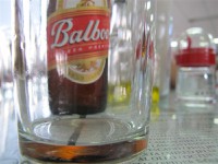 Balboa - very popular cerveza