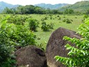 Across a field of volcanic boulders