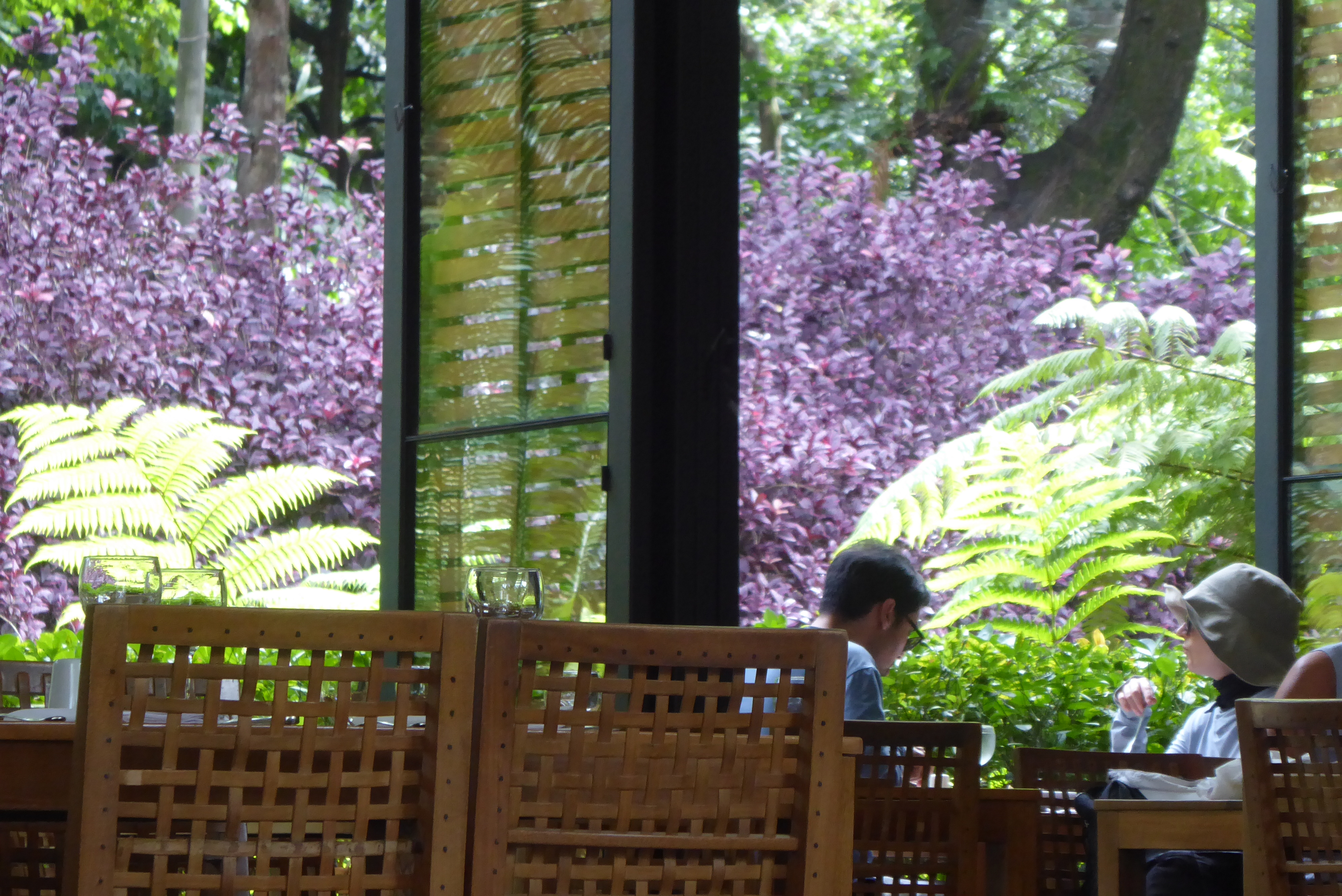 botanical restaurant.jpeg