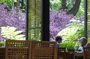 botanical restaurant.jpeg