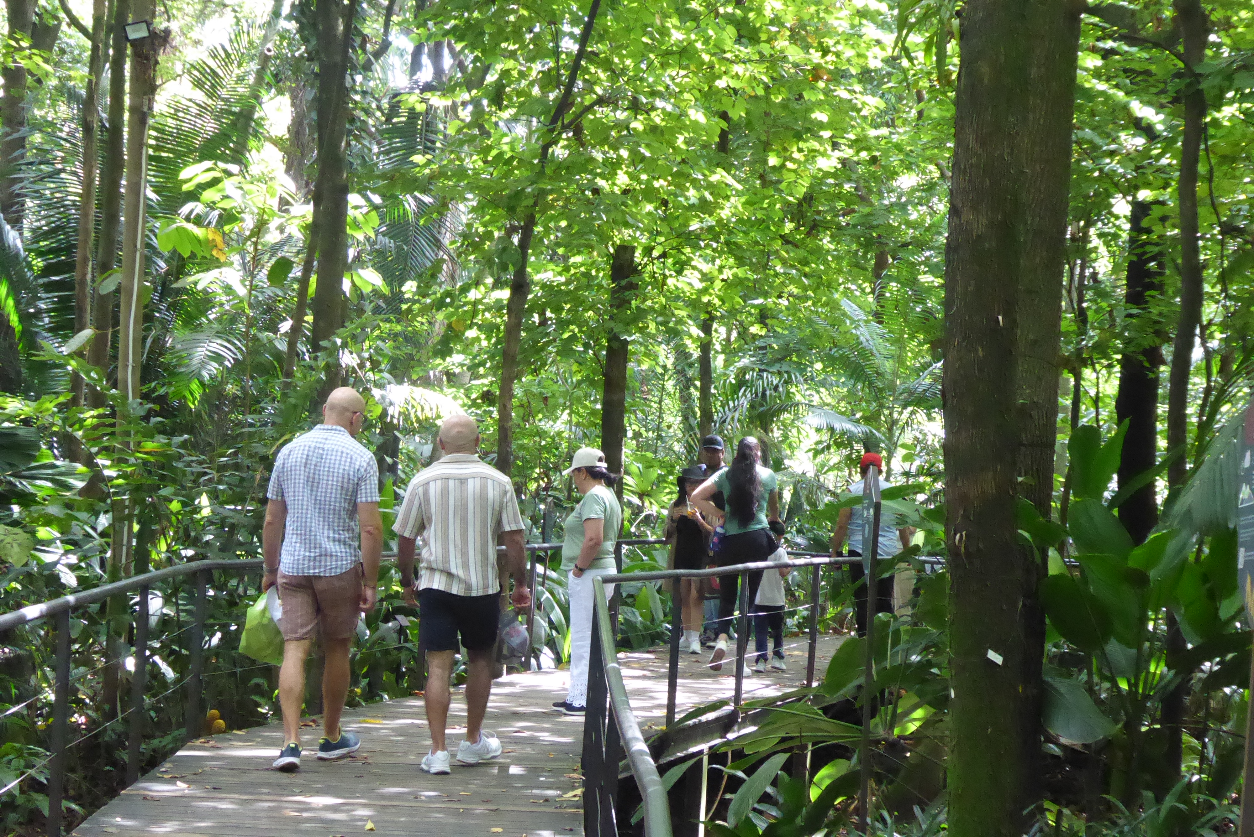 botanical walkway.jpeg