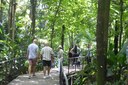 botanical walkway.jpeg
