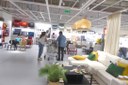 ikeadog.jpg