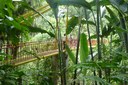 botanicagarden.JPG