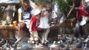 kidsbirds.jpeg
