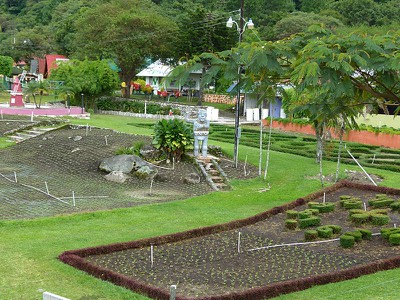 flowerfestivalplantings.jpg