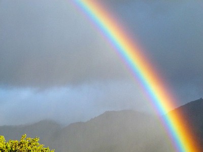 rainbow.jpg