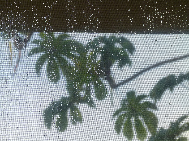 rainonscreen.jpg