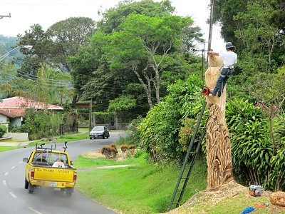 treecarver.jpg