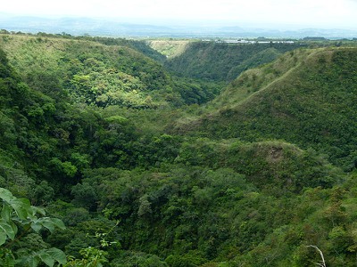 canyon.jpg