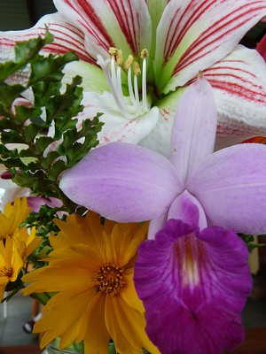 flowersmarianne.jpg