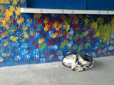 schooldog.jpg