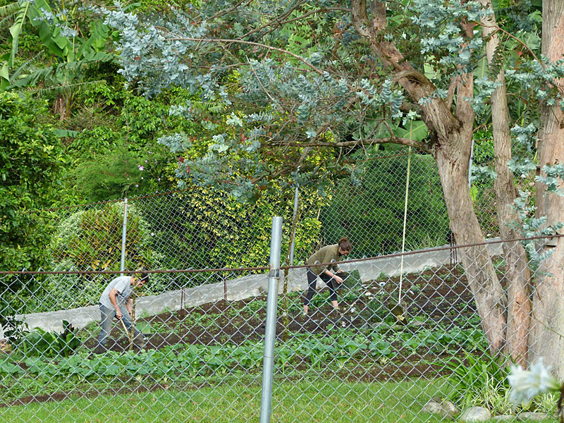 garden.jpg