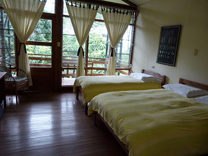 cabin-room.jpg