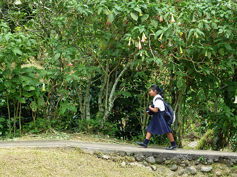 kunagirl.jpg