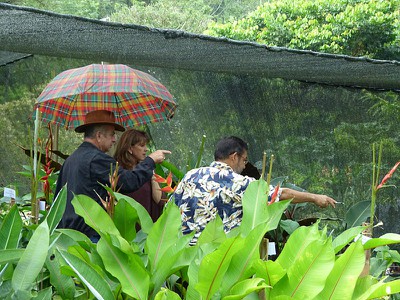 P1060467.jpg