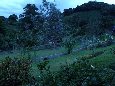 P1070055.jpg