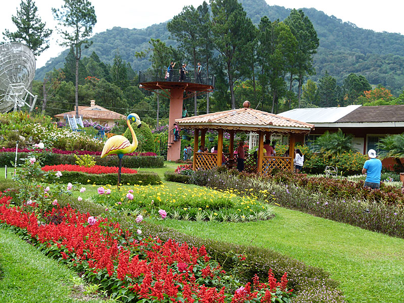 mijardin1.jpg