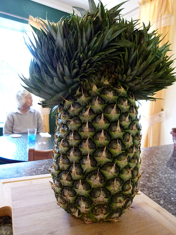 pineapple.jpg