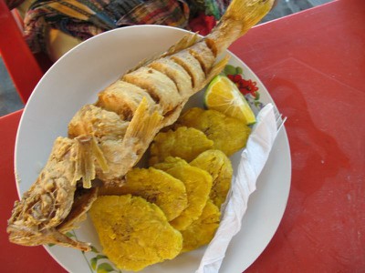 fried corvina