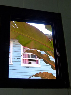 bathroom window