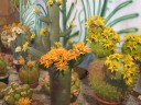 Marzipan Museum