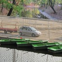 Green Boats