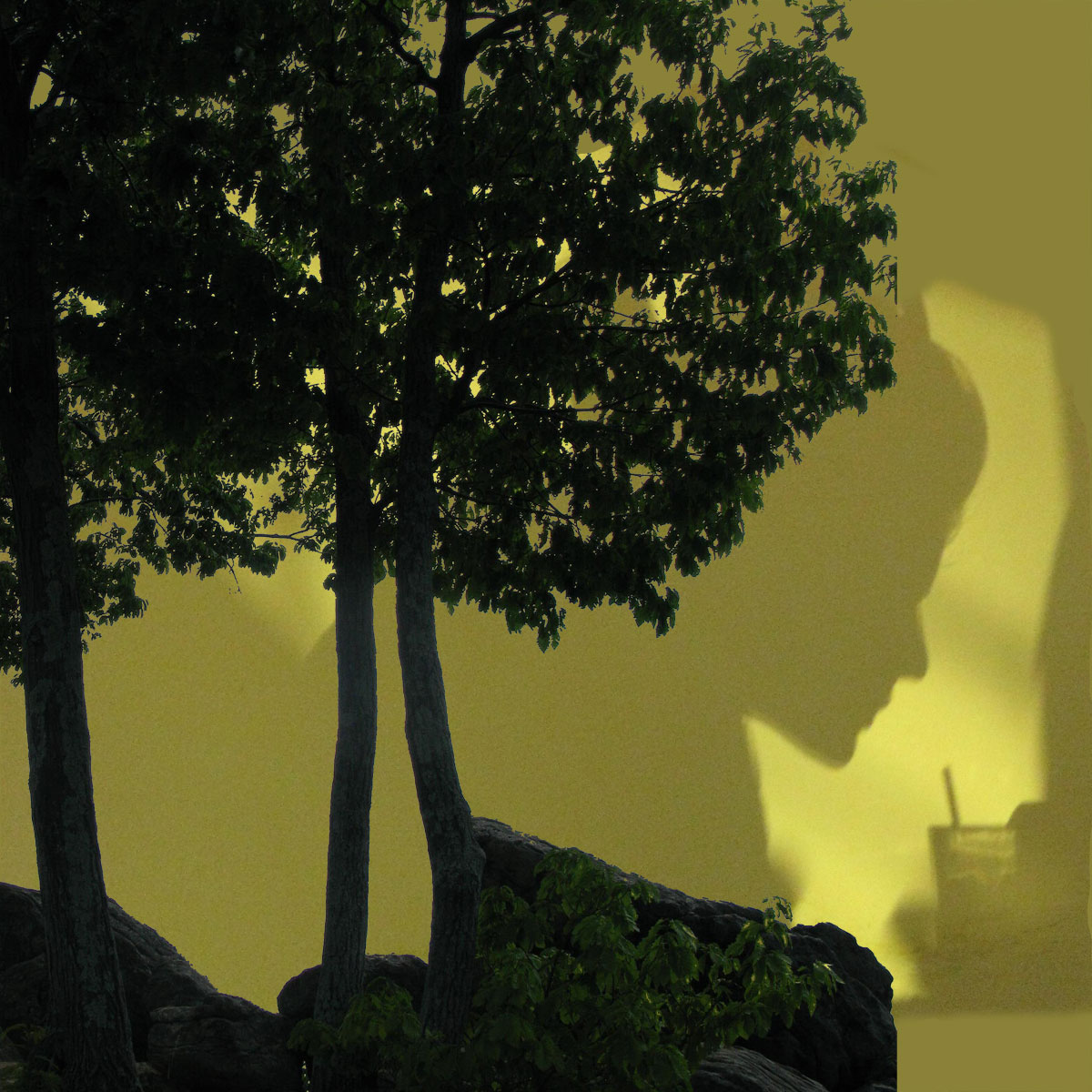 Yellow Silhouette