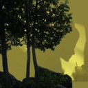 Yellow Silhouette