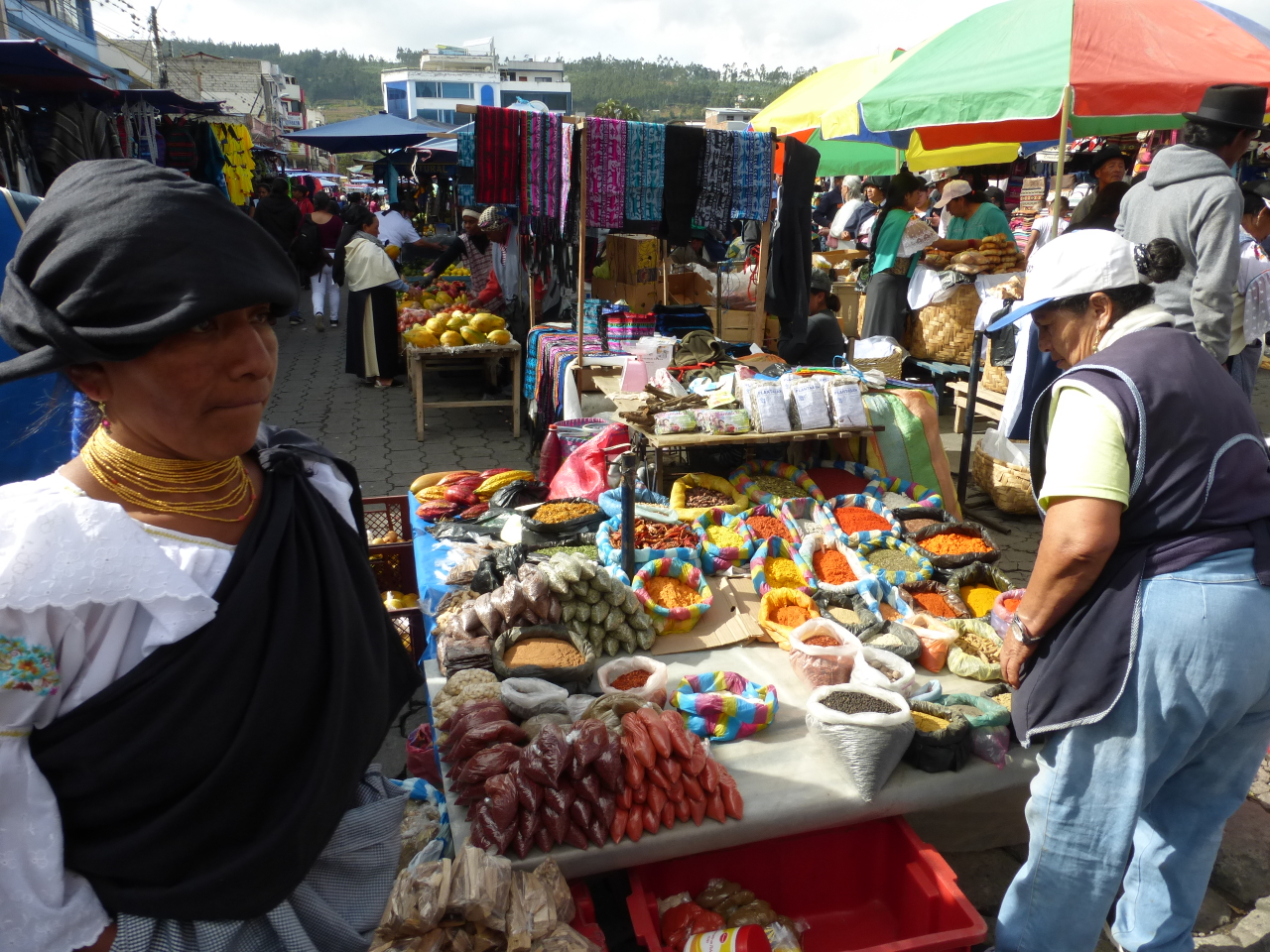 P1120133.jpg