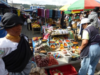 P1120133.jpg