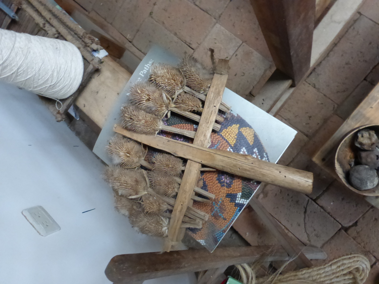 P1120174.jpg