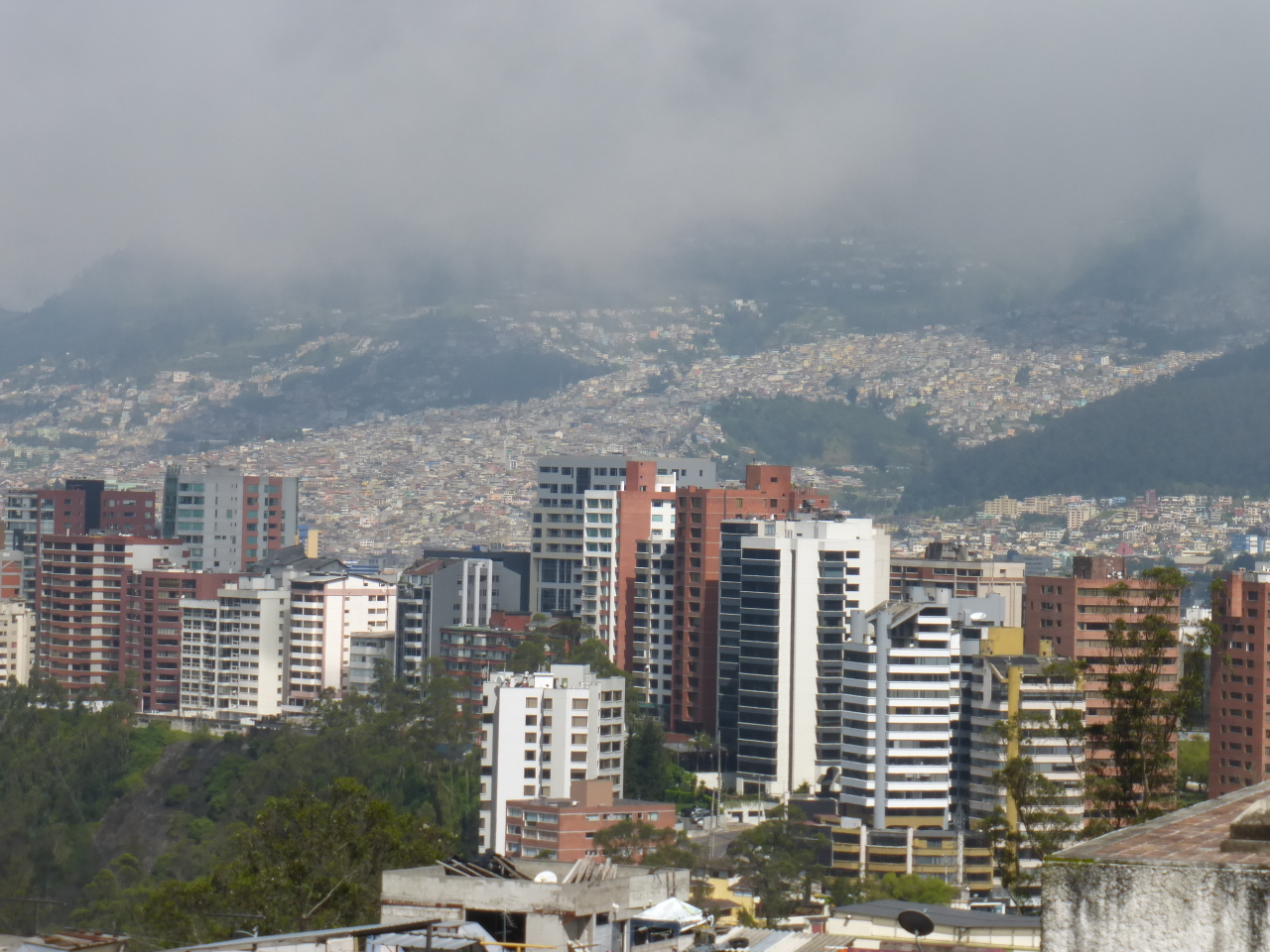 P1120229.jpg