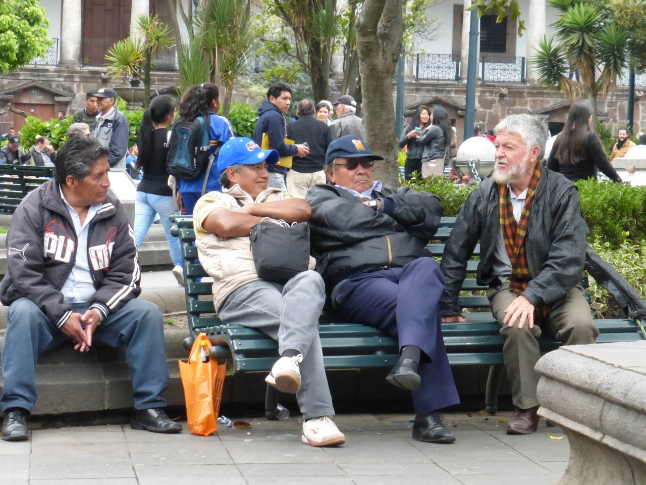 P1120416.jpg