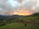 IMG_0044.jpg