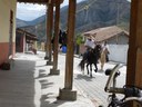 P1050435.JPG