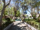 P1090690.JPG