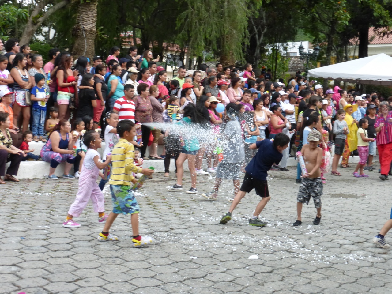 P1100727.jpg