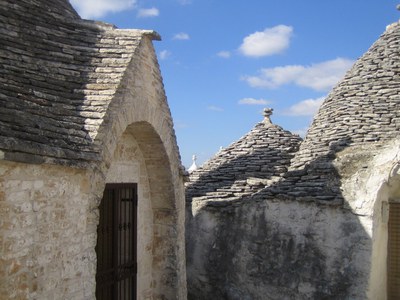 image_144.jpg