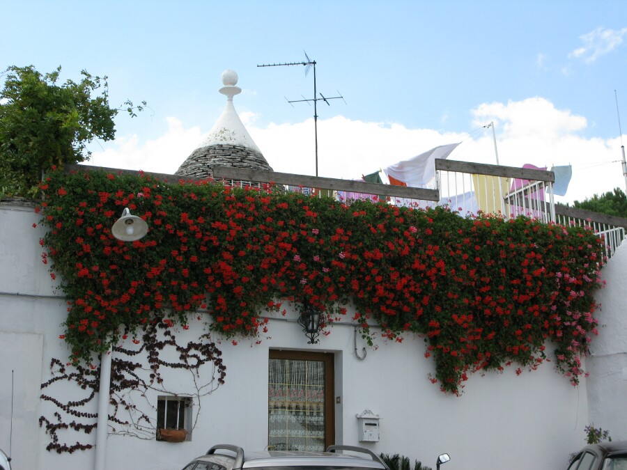 image_42.jpg