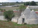 image_6.jpg