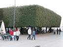 image_92.jpg
