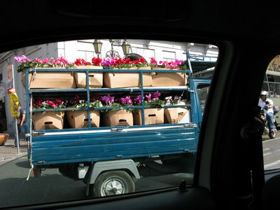image_3.jpg
