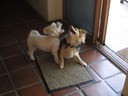 Friendly fighting with Zach