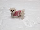 Deep Snow