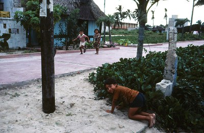 IMG_0260.jpg