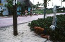 IMG_0260.jpg