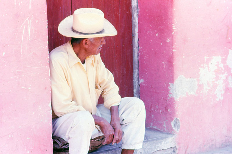 maninpinkhouse.jpg
